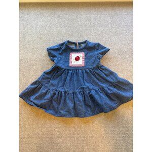 Blue Denim Baby Girl Dress Ladybug Patch & Gingham Detail Tiered Dress 12M